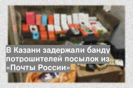 В Казани задержали банду потрошителей посылок из «Почты России»