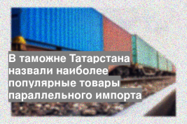 В таможне Татарстана назвали наиболее популярные товары параллельного импорта
