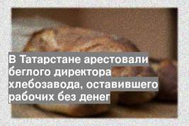 В Татарстане арестовали беглого директора хлебозавода, оставившего рабочих без денег