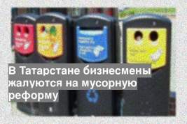 В Татарстане бизнесмены жалуются на мусорную реформу