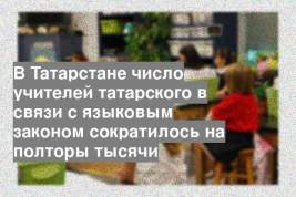 В Татарстане число учителей татарского в связи с языковым законом сократилось на полторы тысячи