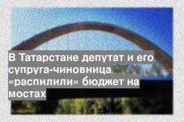 В Татарстане депутат и его супруга-чиновница «распилили» бюджет на мостах