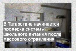 В Татарстане начинается проверка системы школьного питания после массового отравления