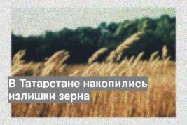 В Татарстане накопились излишки зерна