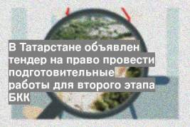 В Татарстане объявлен тендер на право провести подготовительные работы для второго этапа БКК
