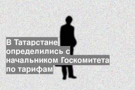 В Татарстане определились с начальником Госкомитета по тарифам