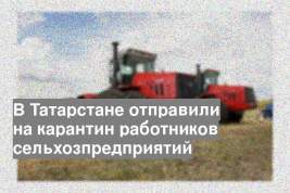 В Татарстане отправили на карантин работников сельхозпредприятий