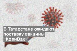 В Татарстане ожидают поставку вакцины «КовиВак»