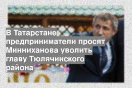 В Татарстане предприниматели просят Минниханова уволить главу Тюлячинского района