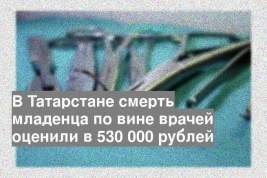 В Татарстане смерть младенца по вине врачей оценили в 530 000 рублей