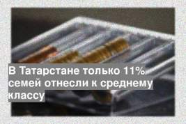 В Татарстане только 11% семей отнесли к среднему классу