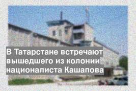 В Татарстане встречают вышедшего из колонии националиста Кашапова