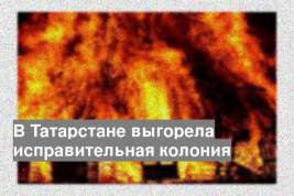 В Татарстане выгорела исправительная колония