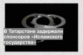 В Татарстане задержали спонсоров «Исламского государства»