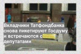 Вкладчики Татфондбанка снова пикетируют Госдуму и встречаются с депутатами