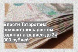 Власти Татарстана похвастались ростом зарплат аграриев до 24 000 рублей