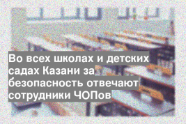 Во всех школах и детских садах Казани за безопасность отвечают сотрудники ЧОПов