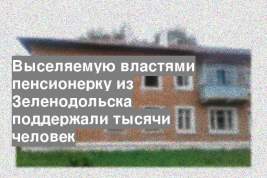 Выселяемую властями пенсионерку из Зеленодольска поддержали тысячи человек