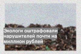 Экологи оштрафовали нарушителей почти на миллион рублей