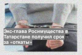 Экс-глава Росимущества в Татарстане получил срок за «откаты»