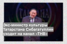Экс-министр культуры Татарстана Сибагатуллин уходит на канал «ТНВ»