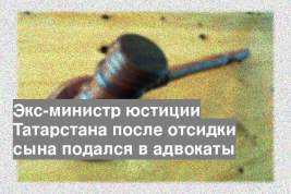 Экс-министр юстиции Татарстана после отсидки сына подался в адвокаты
