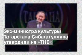 Экс-министра культуры Татарстана Сибагатуллина утвердили на «ТНВ»