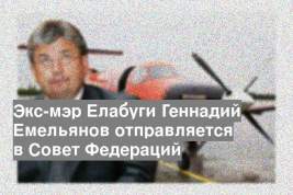 Экс-мэр Елабуги Геннадий Емельянов отправляется в Совет Федераций