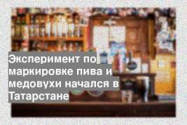 Эксперимент по маркировке пива и медовухи начался в Татарстане