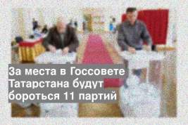 За места в Госсовете Татарстана будут бороться 11 партий