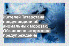 Жителей Татарстана предупредили об аномальных морозах. Объявлено штормовое предупреждение
