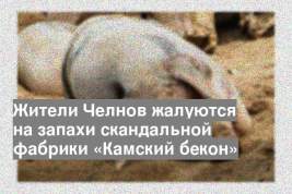 Жители Челнов жалуются на запахи скандальной фабрики «Камский бекон»