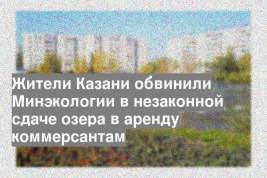 Жители Казани обвинили Минэкологии в незаконной сдаче озера в аренду коммерсантам
