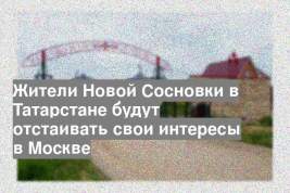 Жители Новой Сосновки в Татарстане будут отстаивать свои интересы в Москве