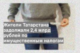 Жители Татарстана задолжали 2,4 млрд рублей по имущественным налогам