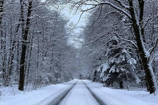 Снежную зиму прогнозируют в этом году в Татарстане